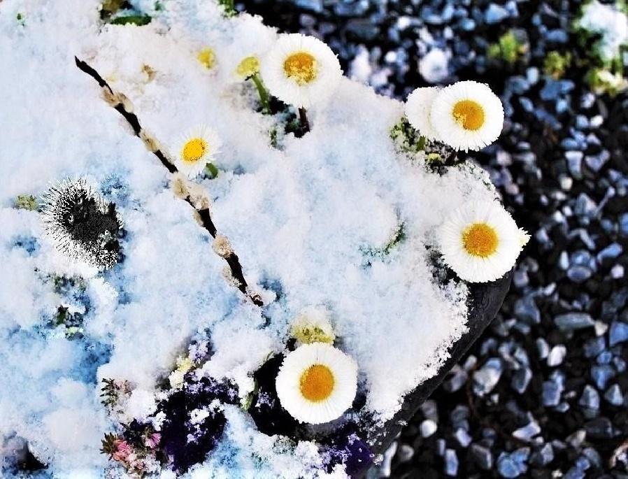 Капризный апрель