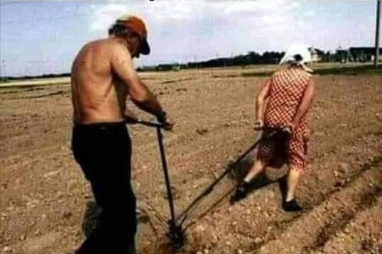 Открыт сексуальный сезон