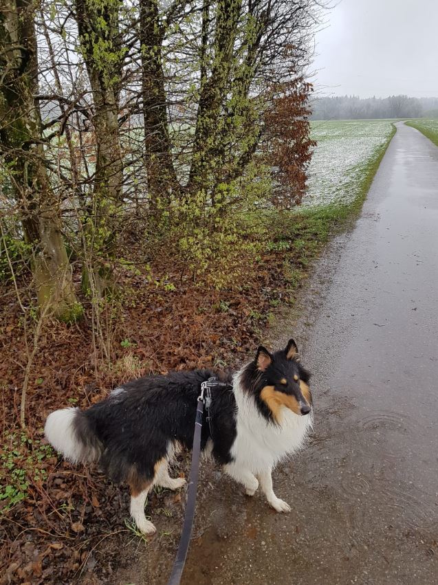 Ванильный снег