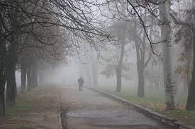 Белые туманы