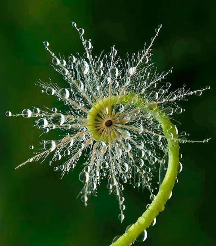 Уйду в закат...