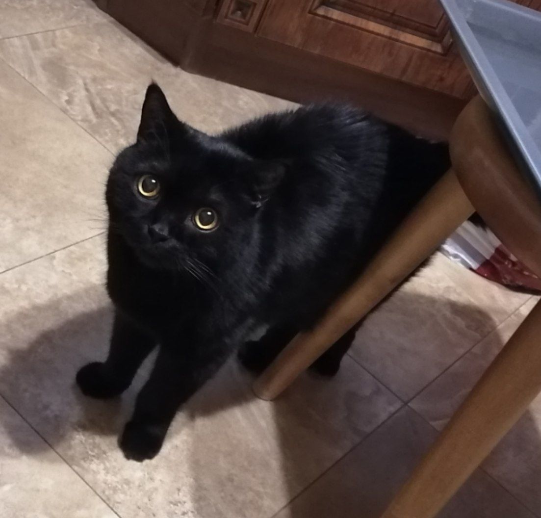 Памяти Демона