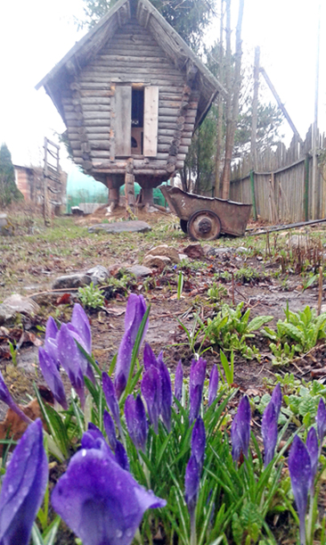 Полгодика Ксюшке!