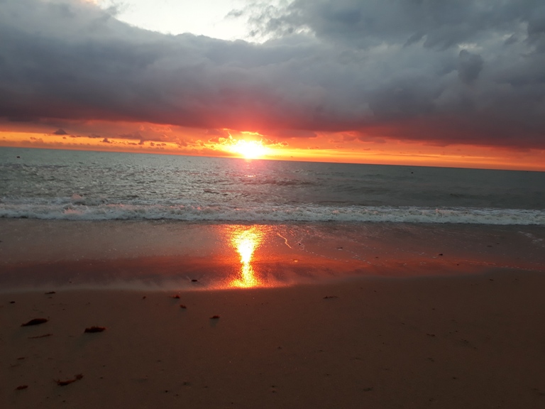 Дятел-софист...