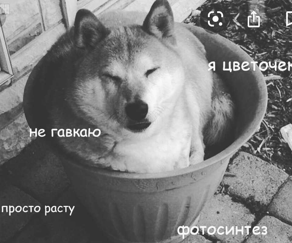 место в жизни