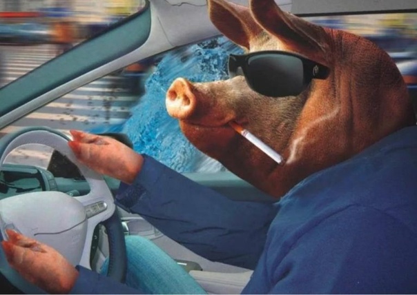 18 апреля. О насущном...