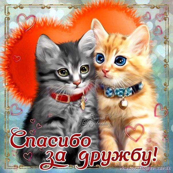 Спасибо ты настоящий друг картинки