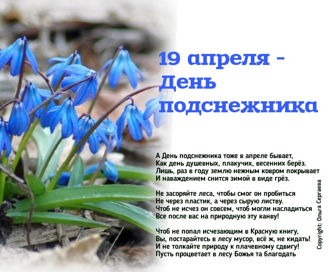 Праздники сегодня 19 апреля в россии