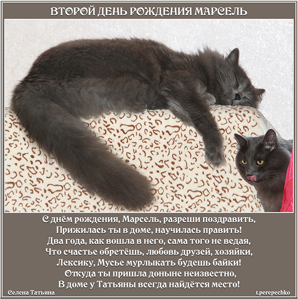Второй день рождения Марсель