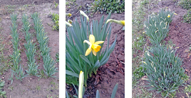 Приятный выскочка