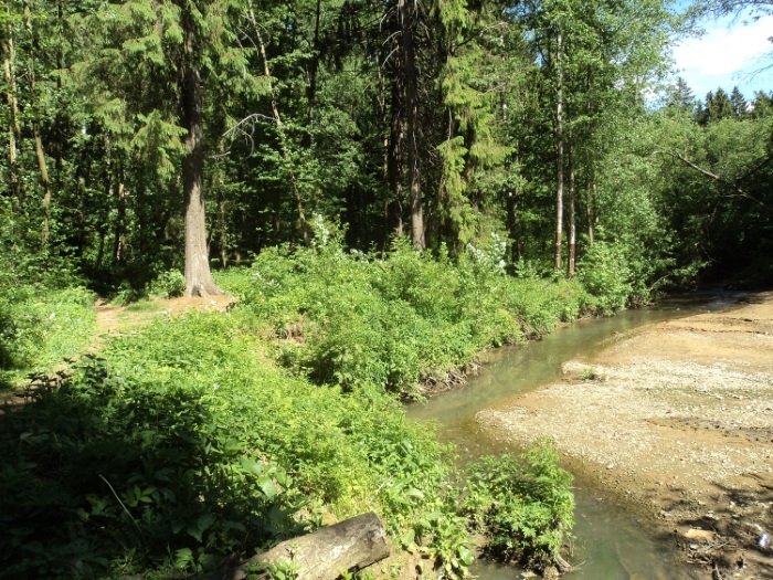 Я в городе на Лете обитаю