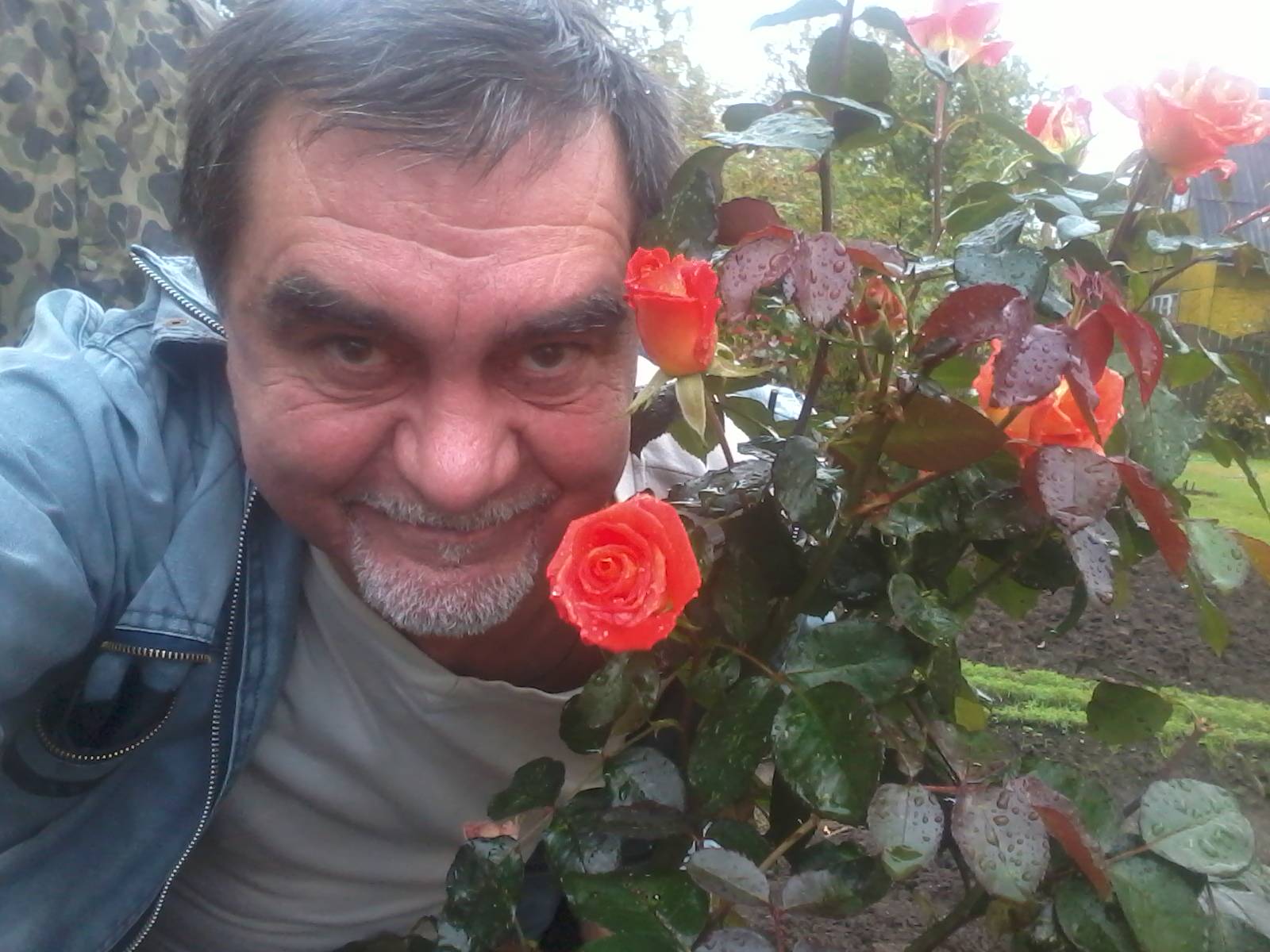 Сложные стихи и жизнь