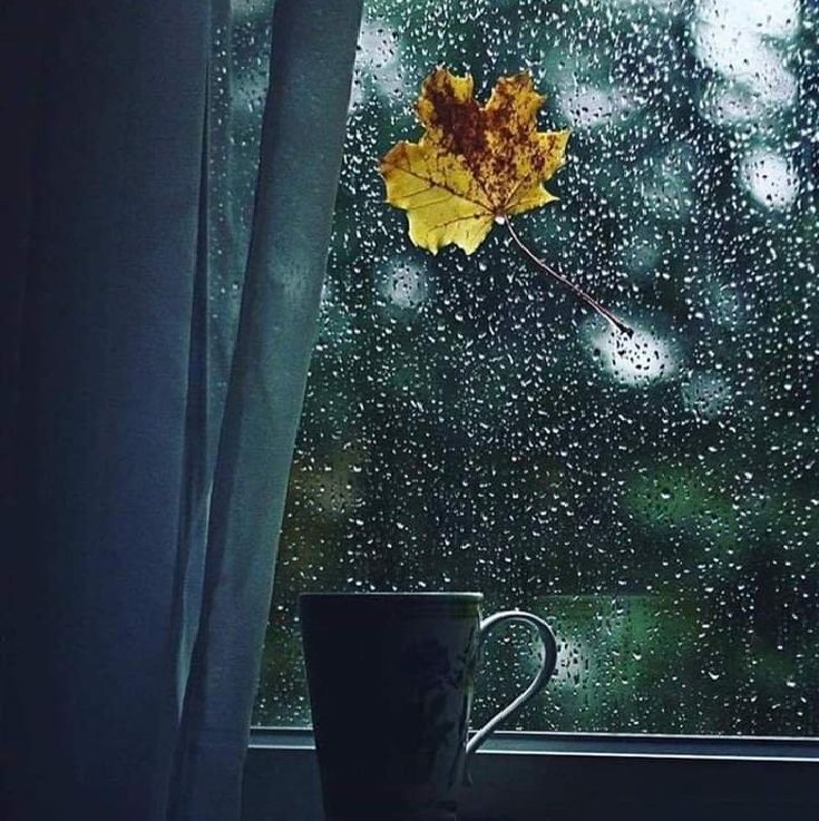 Осень нужно уметь пережить