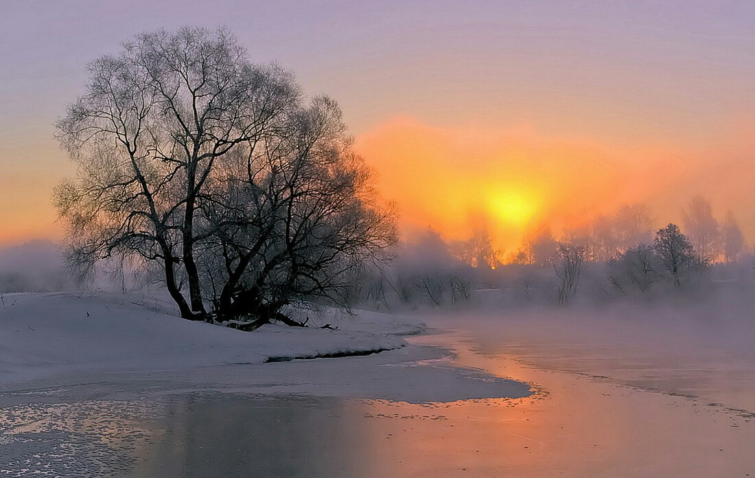 По проталинам влажного снега...