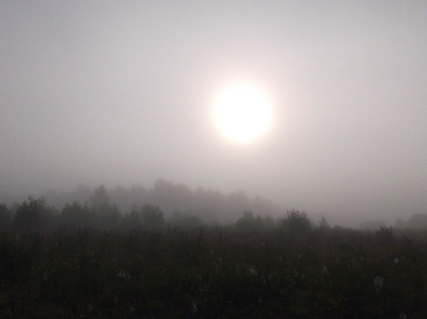 Молитва слышна, в воздухе светлом...