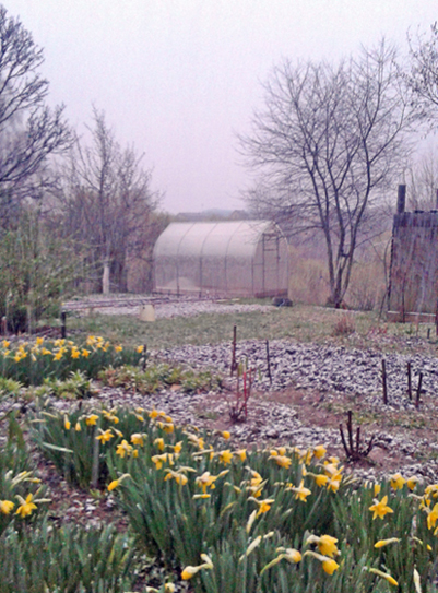 В ожидании Пасхи Христовой