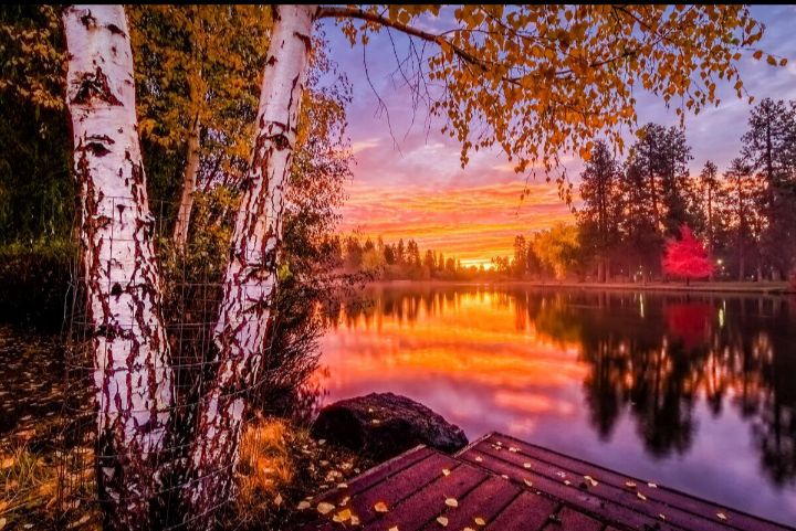 Заря вполнеба