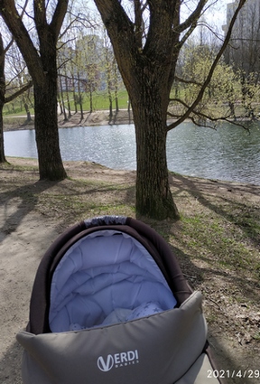 Первая прогулка