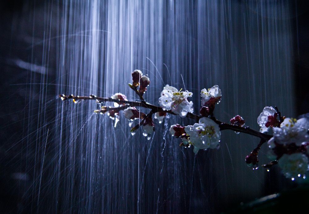 Барабанная дробь дождя