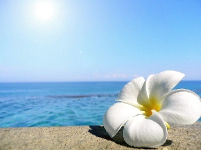 Песни первых христиан острова Тикопиа