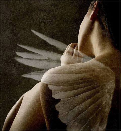 9. Передо мною пропасть света край