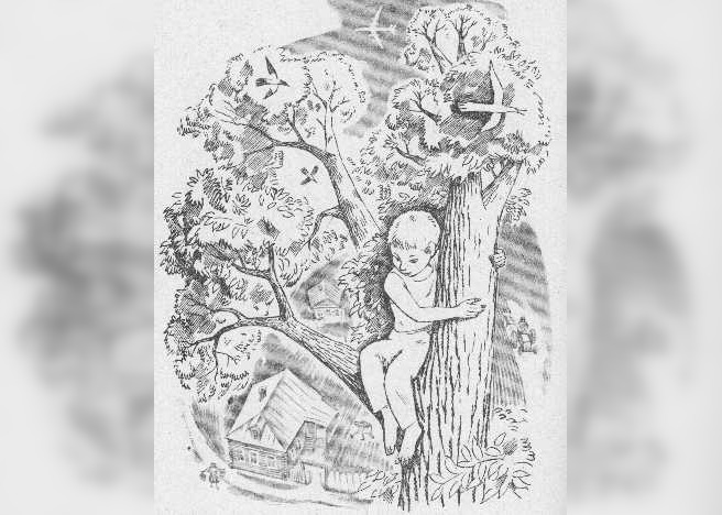 Рассказ большая береза. Большая берёза Артюхова рисунок. Мальчик на дереве иллюстрация. Мальчик на дереве рисунок.