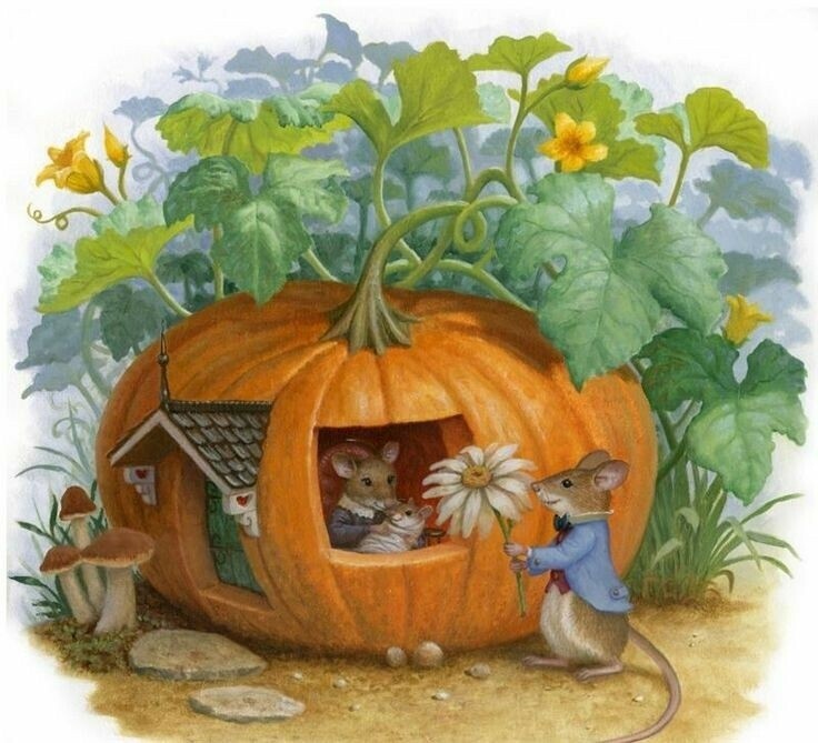 Поселились в тыкве мыши