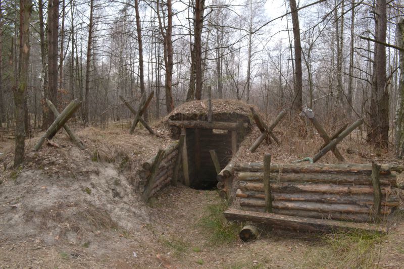 Партизанская землянка в лесу