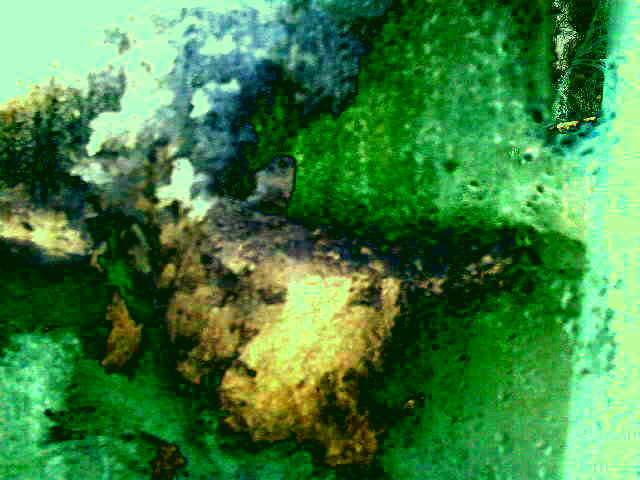 Не вставала я с колен