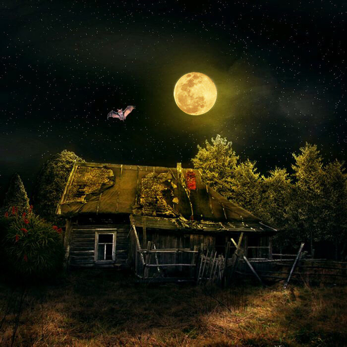 Иду домой... Людмила Юферова