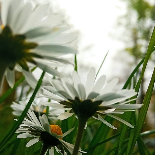 О чём могу, Господь, мечтать?