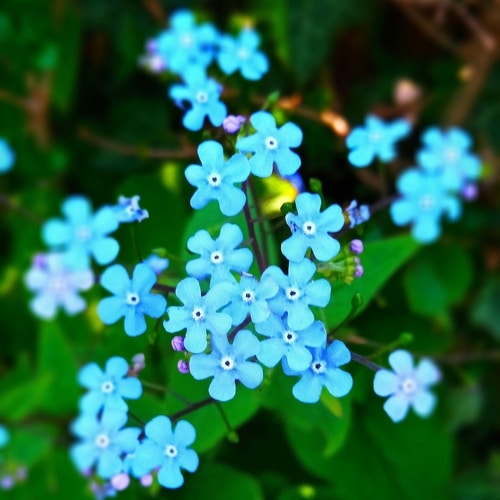 Всё соделал Господь Сам для славы Своей