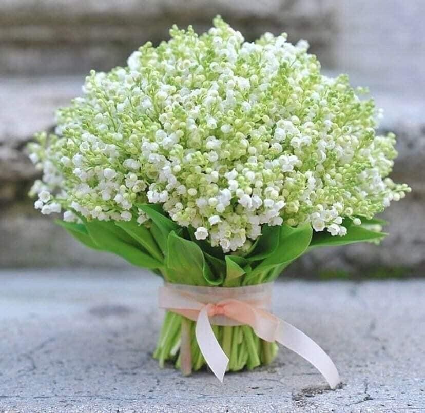 Ландыш нежный