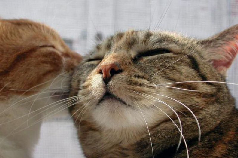 На пятнадцатом этаже...