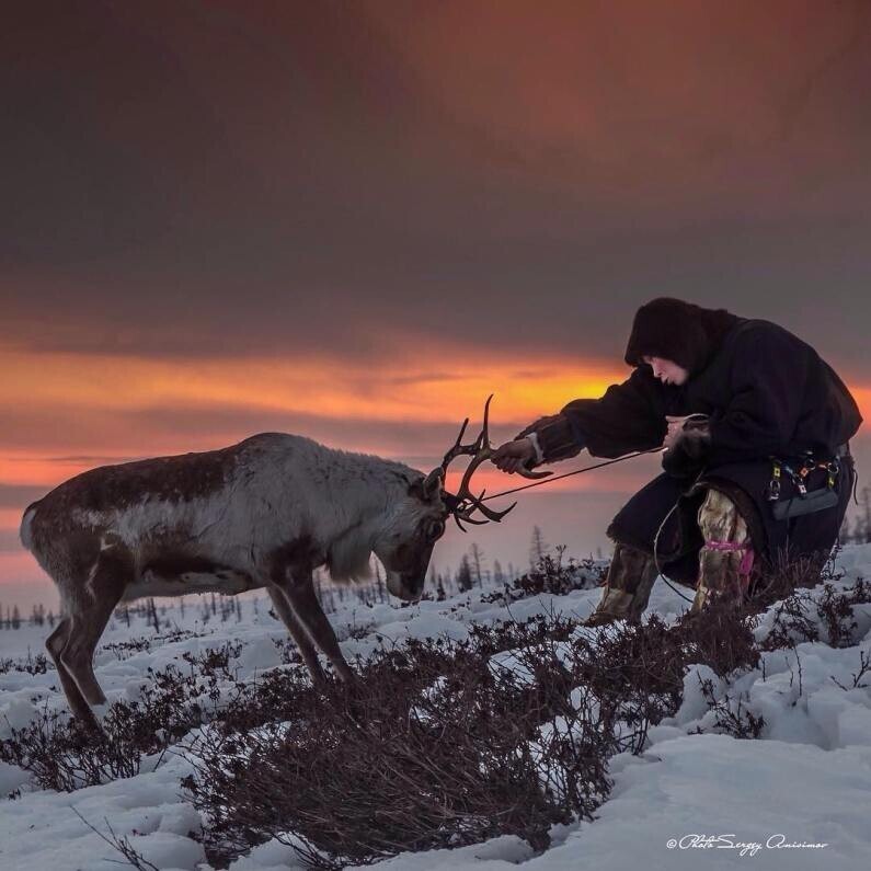 Пятничный очепяточный блиц No 708