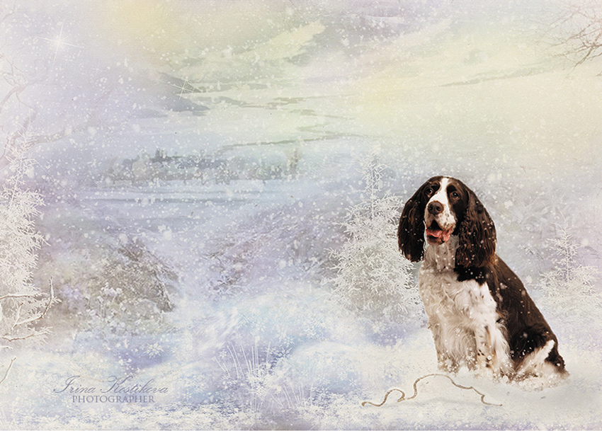 Мой милый друг