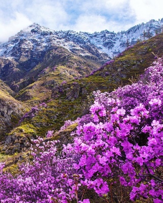 Одна из миллионов