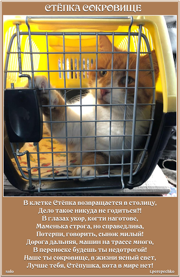 Стёпка - сокровище
