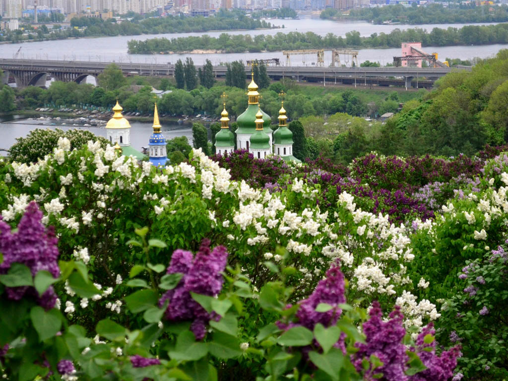 Цветы около храма