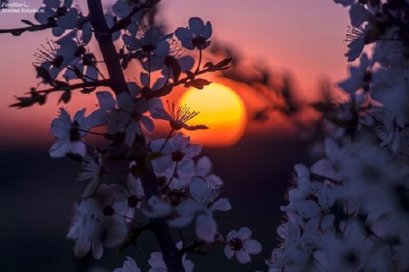 В алой дымке за рекой...