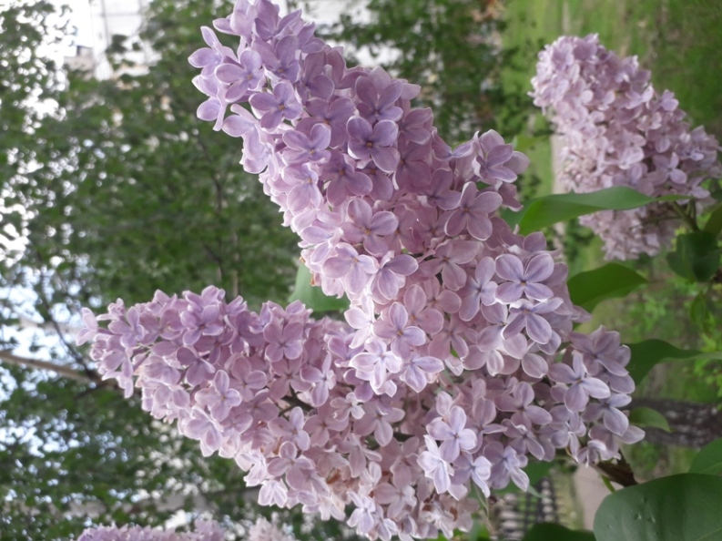 Внимание! Открытый конкурс