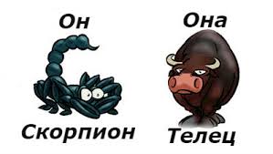 Про Скорпиона и Тельца