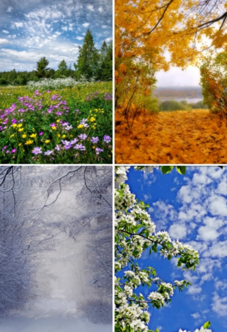 Времена года. Глагольное