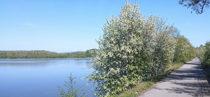 Коварный май