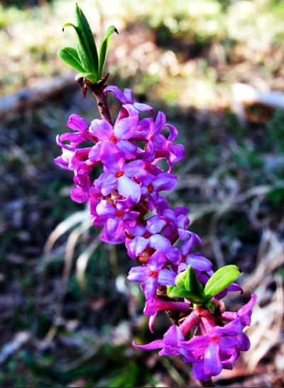 Видимость порой обманчива