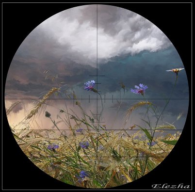 Под прицелом