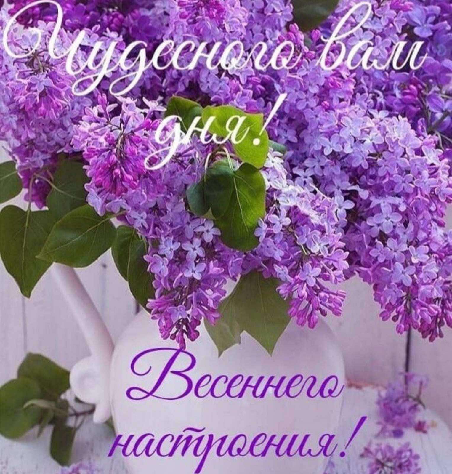 Доброе утро с сиренью