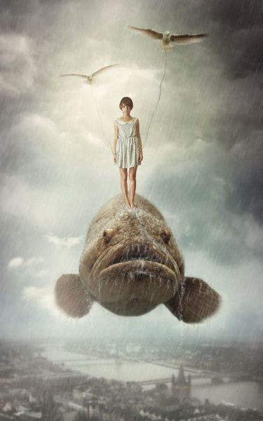 На мир киваю словно на погоду