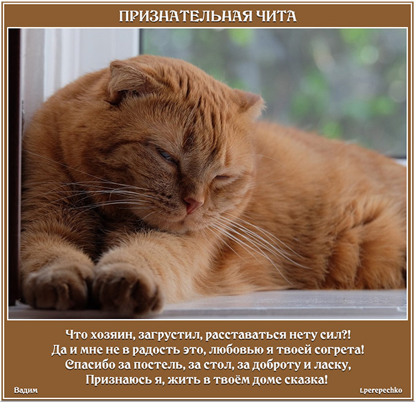 Признательная Чита