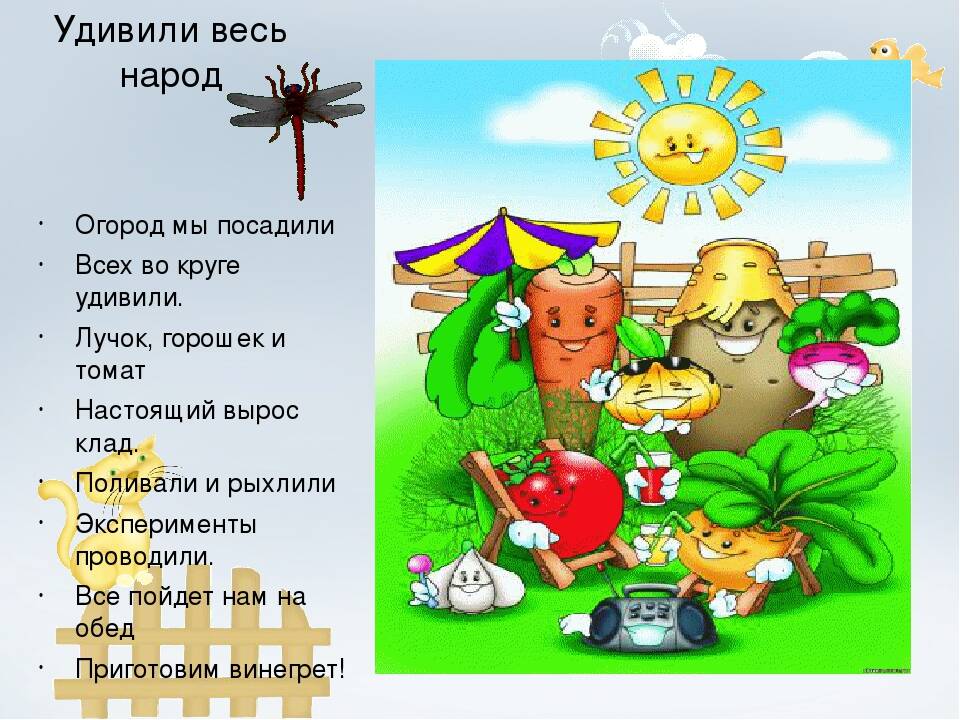 стихи про огород для детей. загадки про овощи для детей. огород в детском саду стих. детские стихи про огород. огород в детском саду стих.
